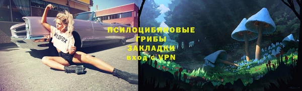 твердый Арсеньев