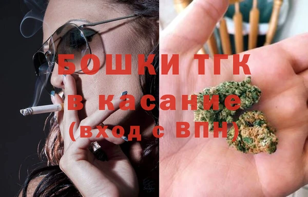 твердый Арсеньев