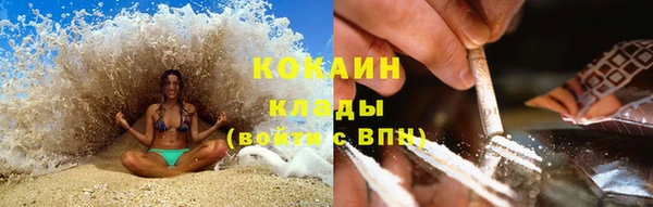 твердый Арсеньев